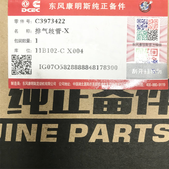 3973422-5.jpg