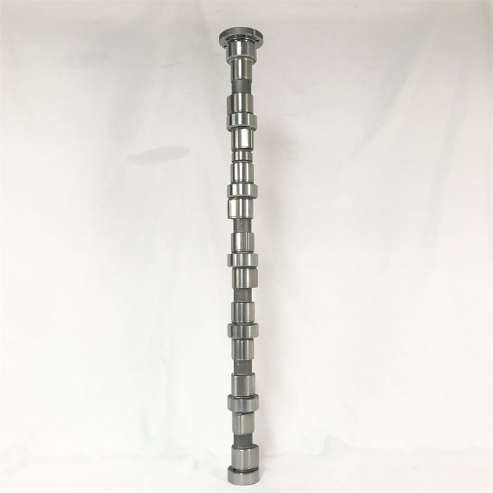 3979506-3.jpg