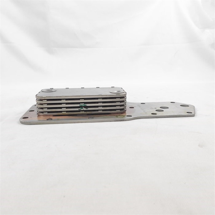 3957543-2.jpg
